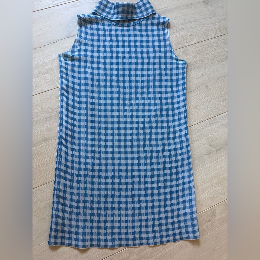 Celine Blue and White Gingham Dress